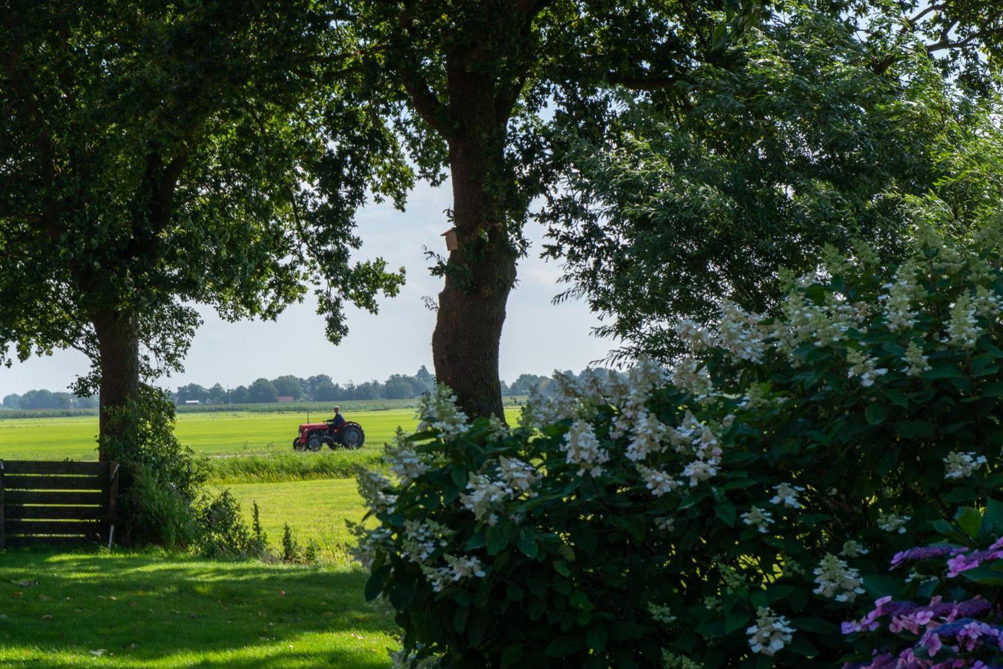 Groepsaccommodatie Het Vijfde Seizoen Bantega Exterior foto